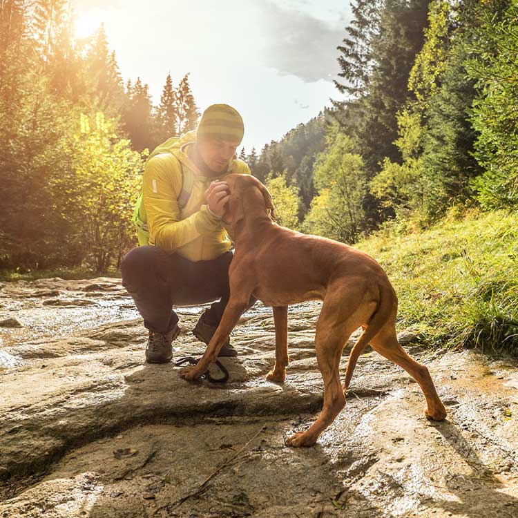 Hundewanderung-Outdoorpfoten