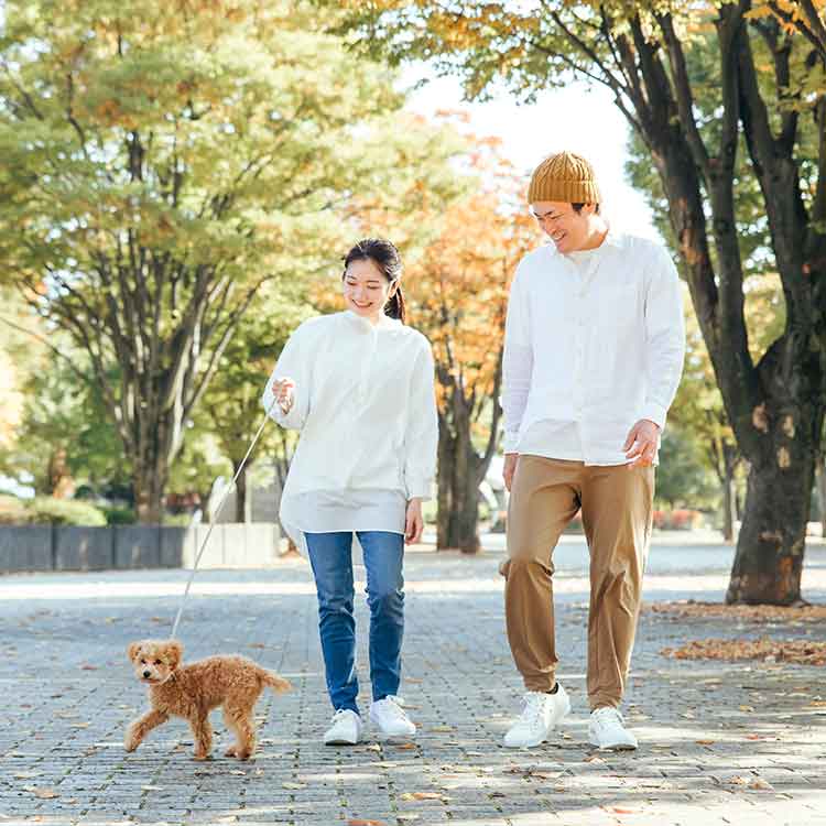 Clickertraing-Hund-Outdoorpfoten-Hundeschule