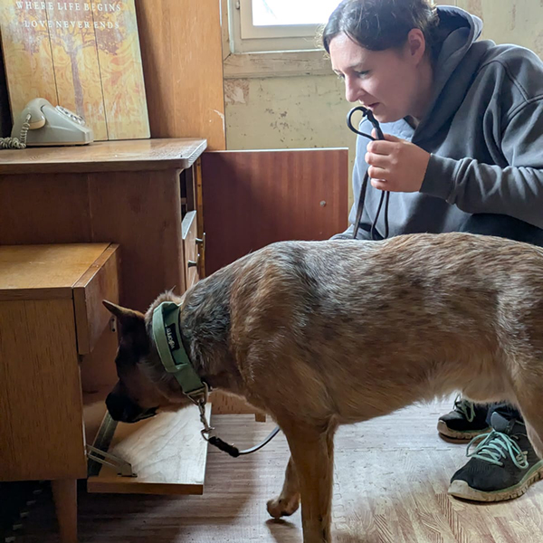 Scent Detection<br />
